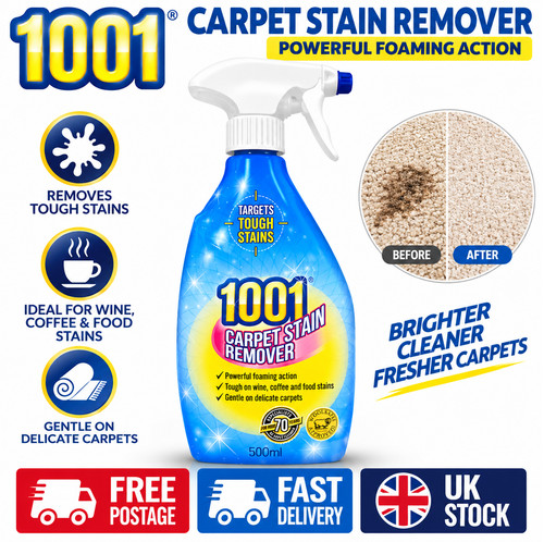 1001 carpet stain remover - carpet,