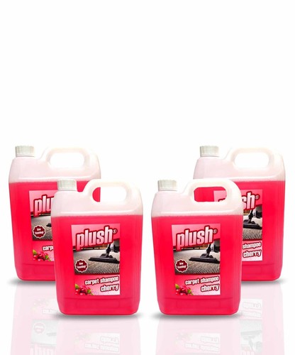 Cleaning carpet upholstery - cleaning,